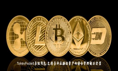 TokenPocket多链钱包：支持多种区块链资产的安全管理解决方案