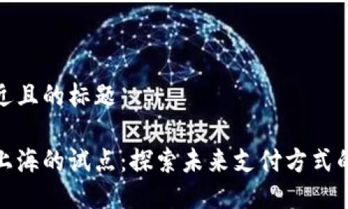 思考一个接近且的标题

数字钱包在上海的试点：探索未来支付方式的创新与挑战