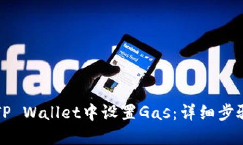 如何在TP Wallet中设置Gas：详细步骤与指南