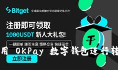 如何使用 OKPay 数字钱包进