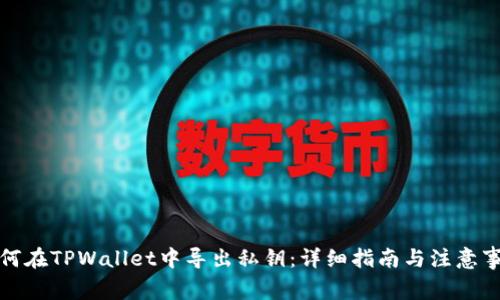 如何在TPWallet中导出私钥：详细指南与注意事项