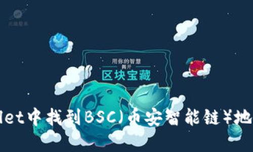 如何在TPWallet中找到BSC（币安智能链）地址并进行管理