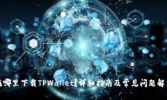 在哪里下载TPWallet？详细指