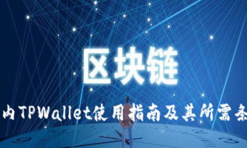 国内TPWallet使用指南及其所需条件