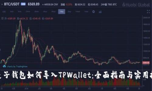 : 麦子钱包如何导入TPWallet：全面指南与实用技巧