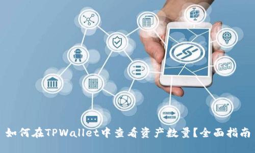 如何在TPWallet中查看资产数量？全面指南