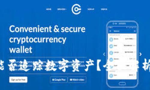 TPWallet 能否追踪数字资产？全面解析与应用案例