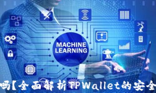 
tpwallet靠谱吗？全面解析TPWallet的安全性和用户体验