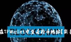 如何在TPWallet中查看持币地址？新手指南