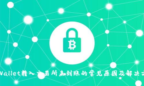 TPWallet转入交易所未到账的常见原因及解决方案