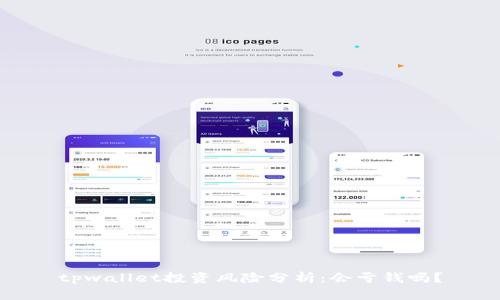 tpwallet投资风险分析：会亏钱吗？