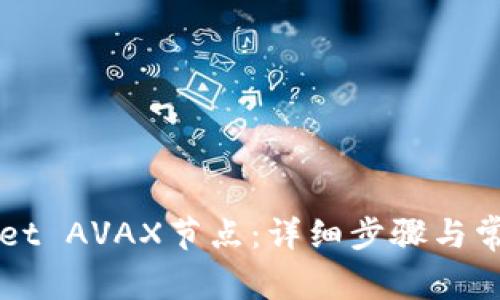 如何设置TPWallet AVAX节点：详细步骤与常见问题解决方案